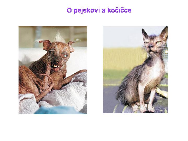 Nová verze pohádky