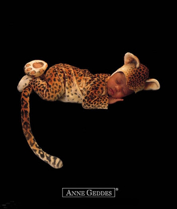 3d5120c53707.jpg
